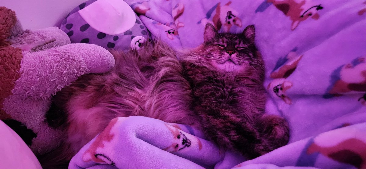 paper_bag ♪ - edtwt tweet media