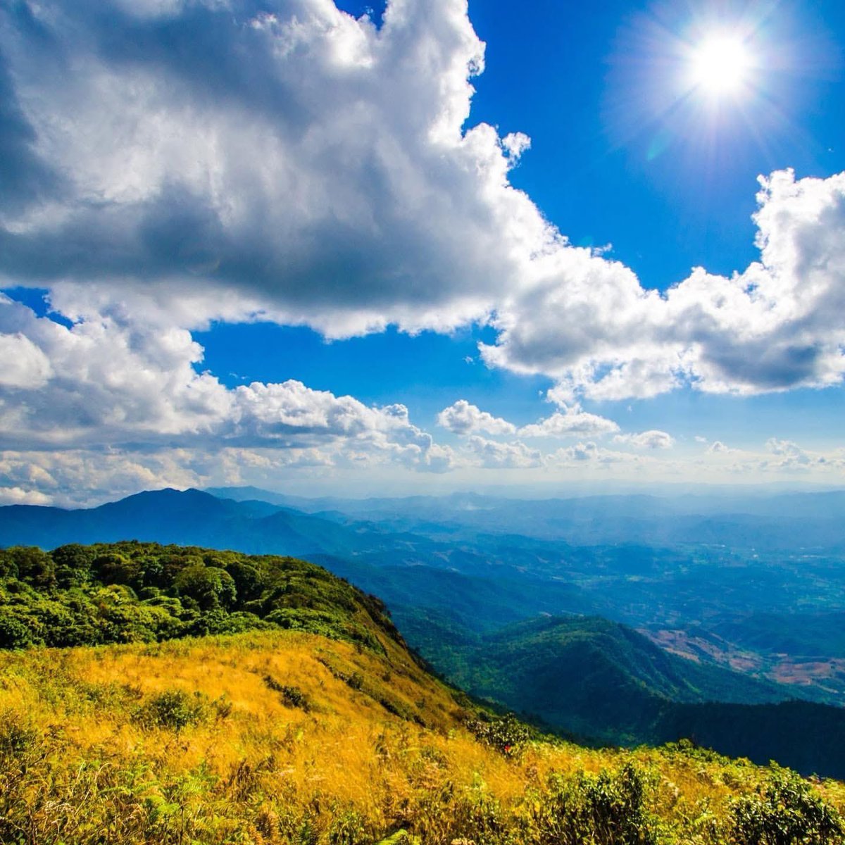 WeeRide UK tweet media