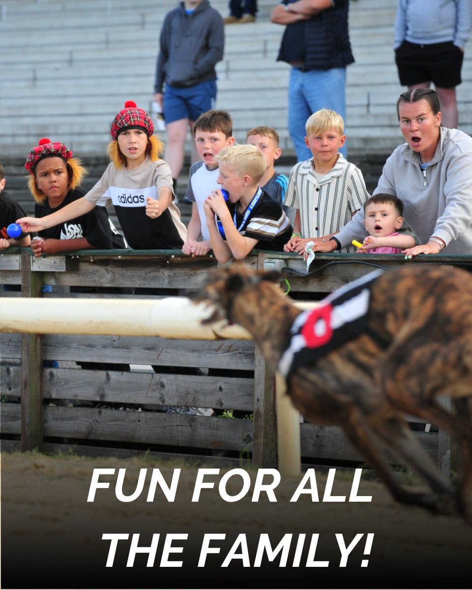 Newcastle Greyhound Stadium tweet media