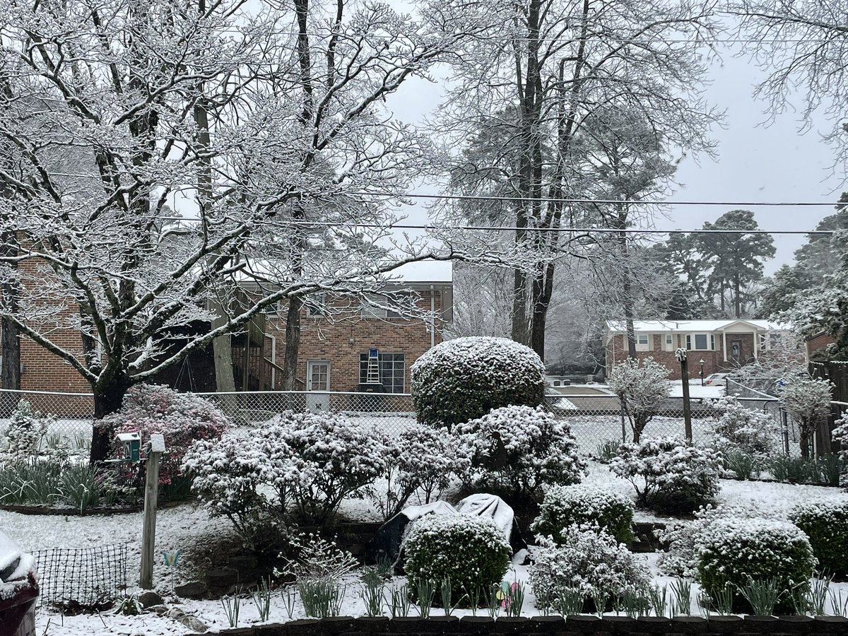 Adrian Castellano tweet media