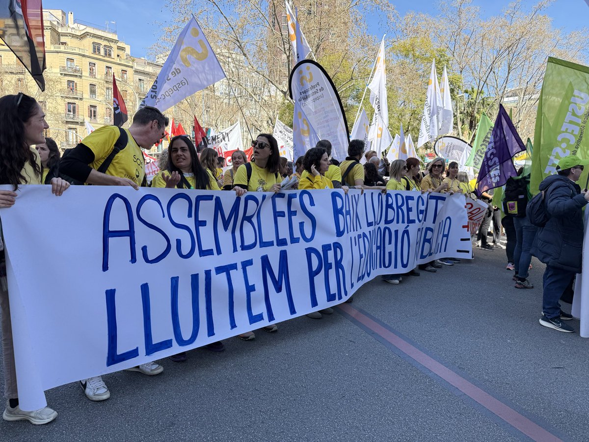 Fer i Ser Professora tweet media