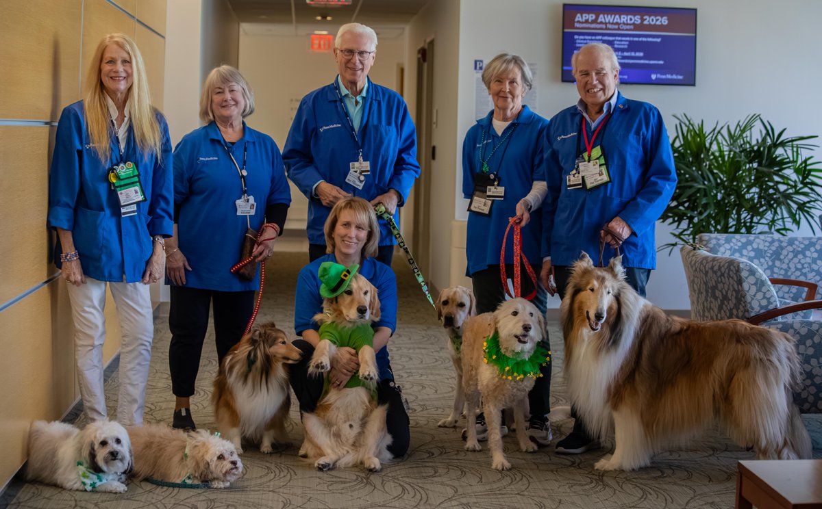 cchosp's tweet photo. Our beloved therapy dogs stopped by to spread some cheer, dressed in their festive finest. As they made their way through the hospital, they delivered smiles, laughter, and a few much-needed moments of comfort to patients, visitors, and staff alike. https://t.co/F5HbCWspMW