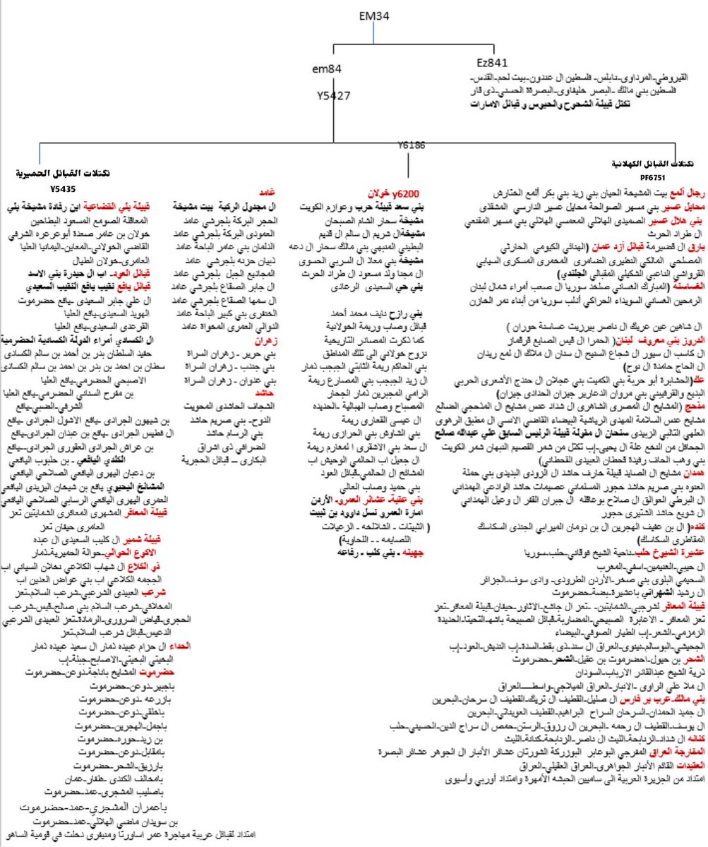 بني سعد خولان tweet media