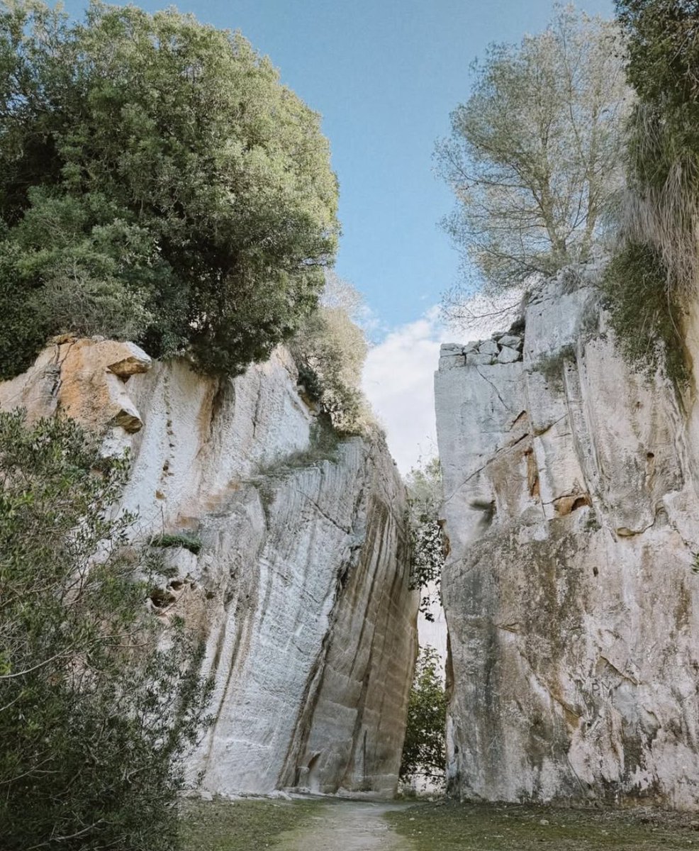 marti buckley tweet media