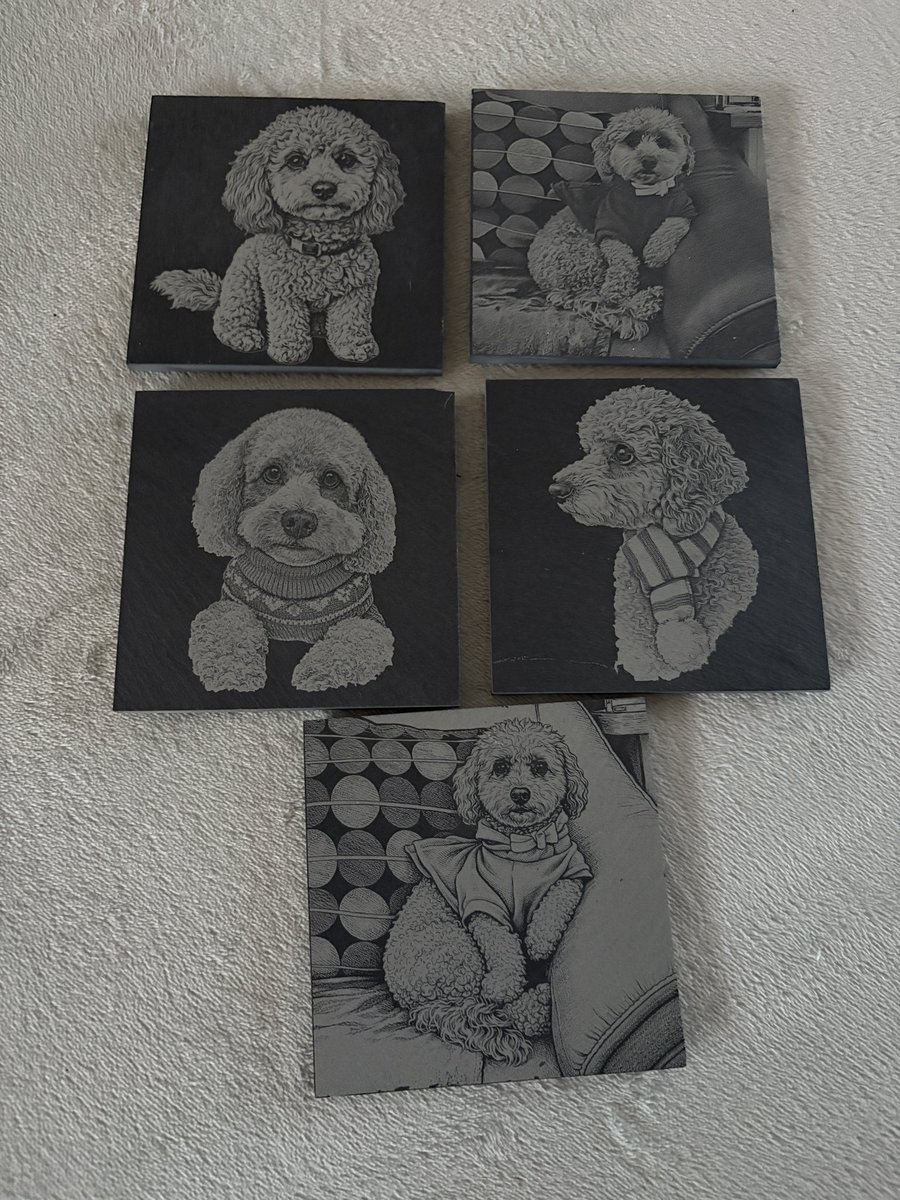 Rise n Design tweet media