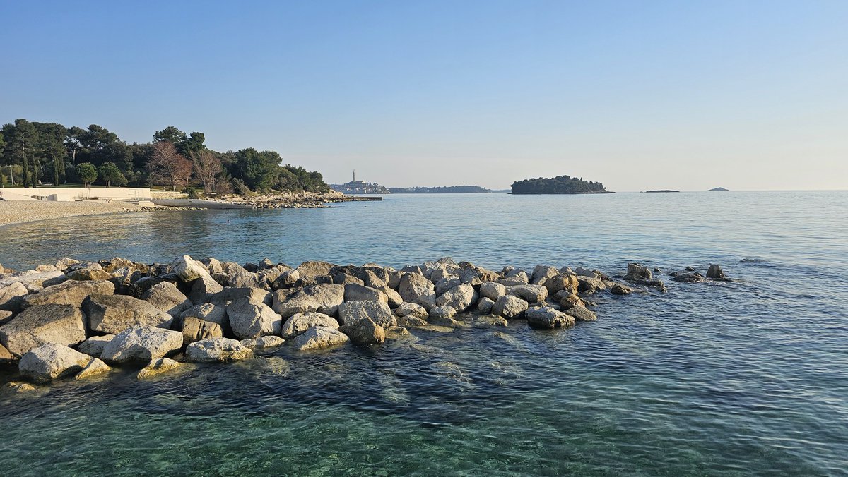 Matofski tweet media