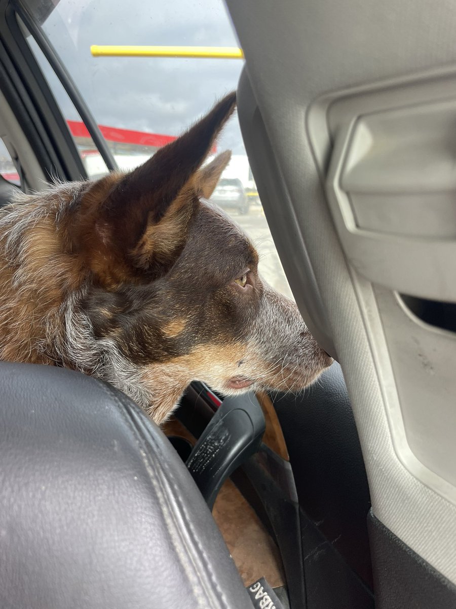 Prairie Ghost 🇺🇸 tweet media