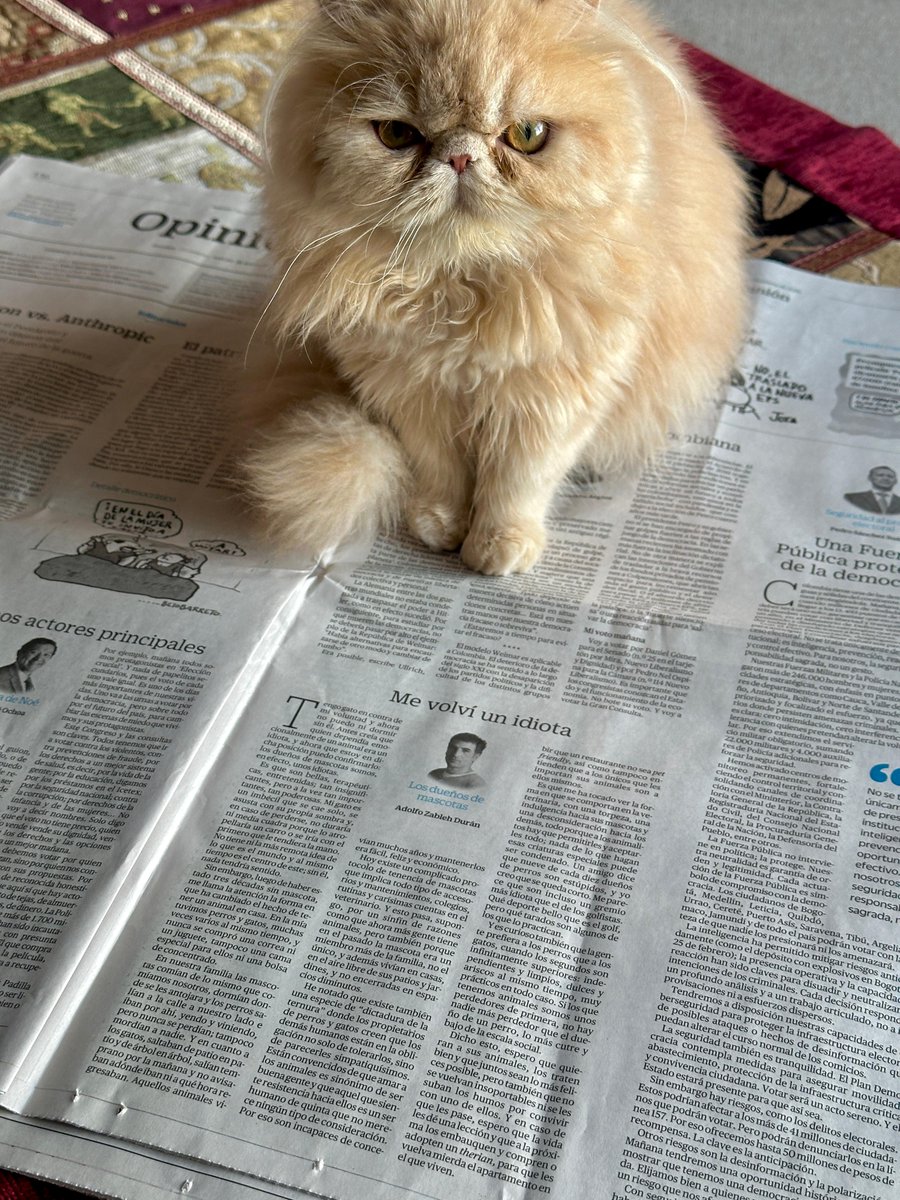 Adolfo Zableh tweet media