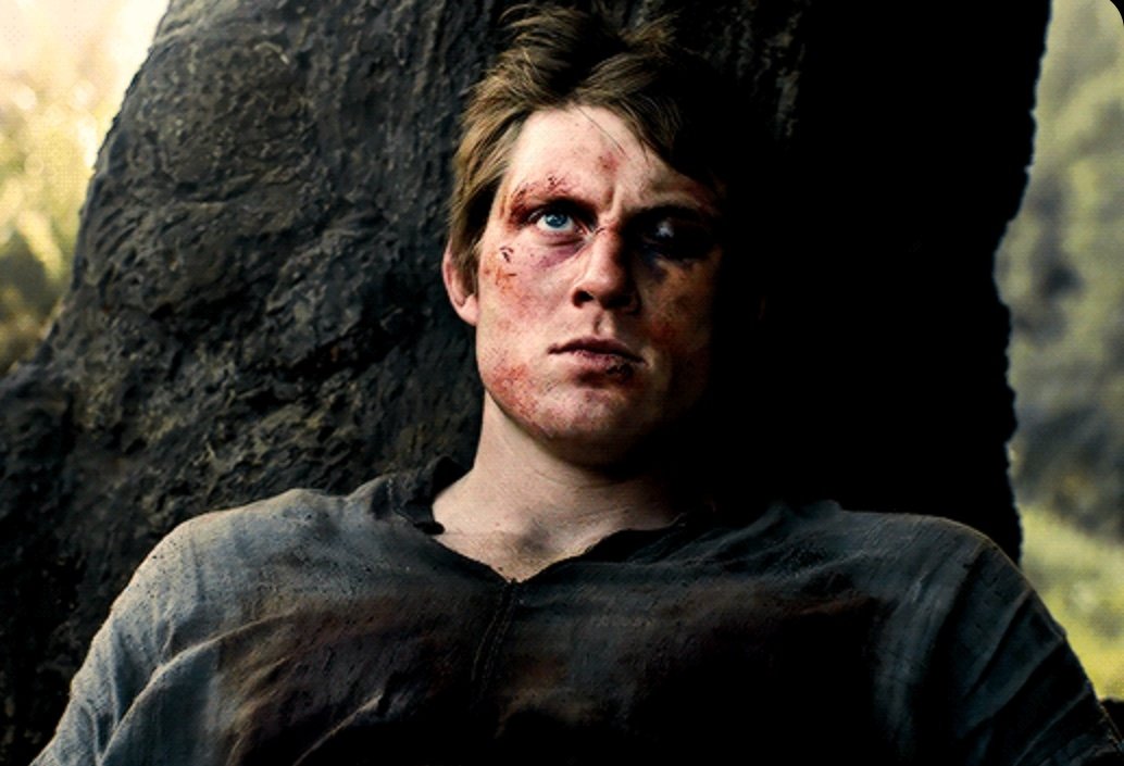 𝅙🦭 tweet media