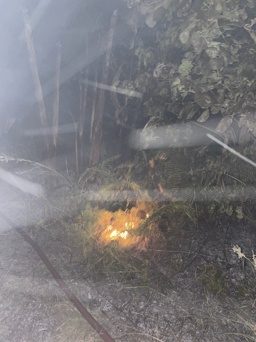 Maldives National Defence Force tweet media