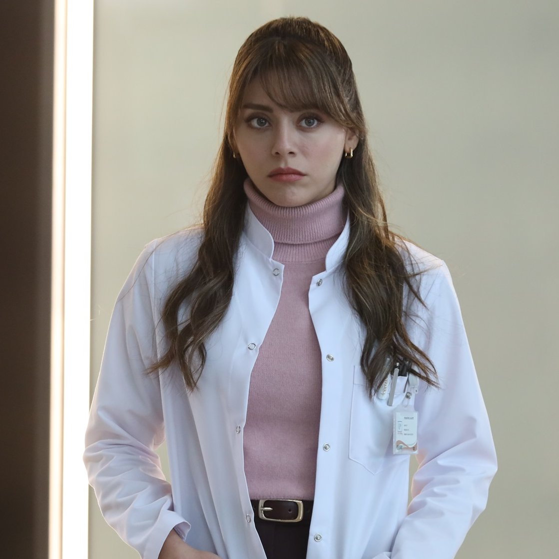 ferhunde tweet media