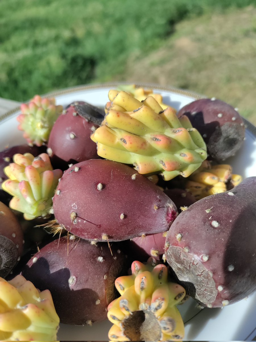 🤘Old🇺🇸Glory🎸 tweet media