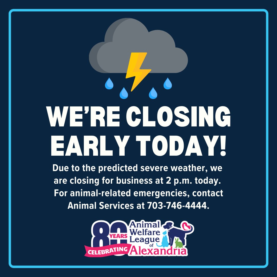 AWLA Alexandria tweet media