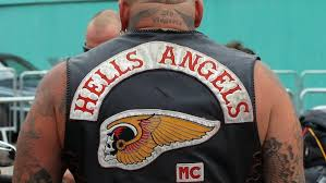 Wiserfool tweet media