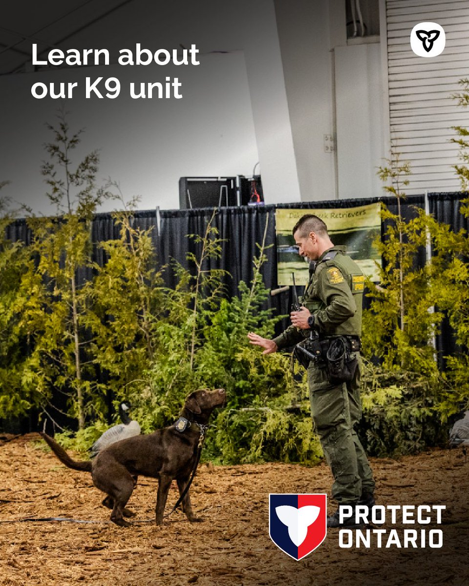 Ontario Ministry of Natural Resources tweet media