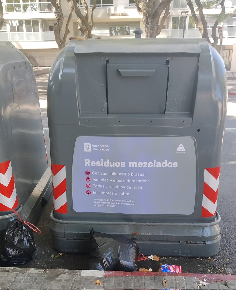 @Carlotta🐾💕 tweet media