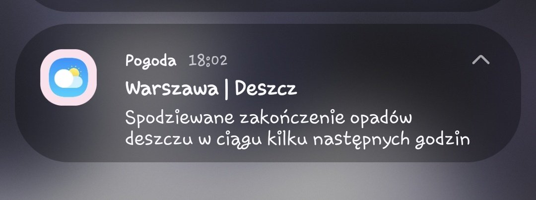 Tomek loves Randal! 🐈 tweet media