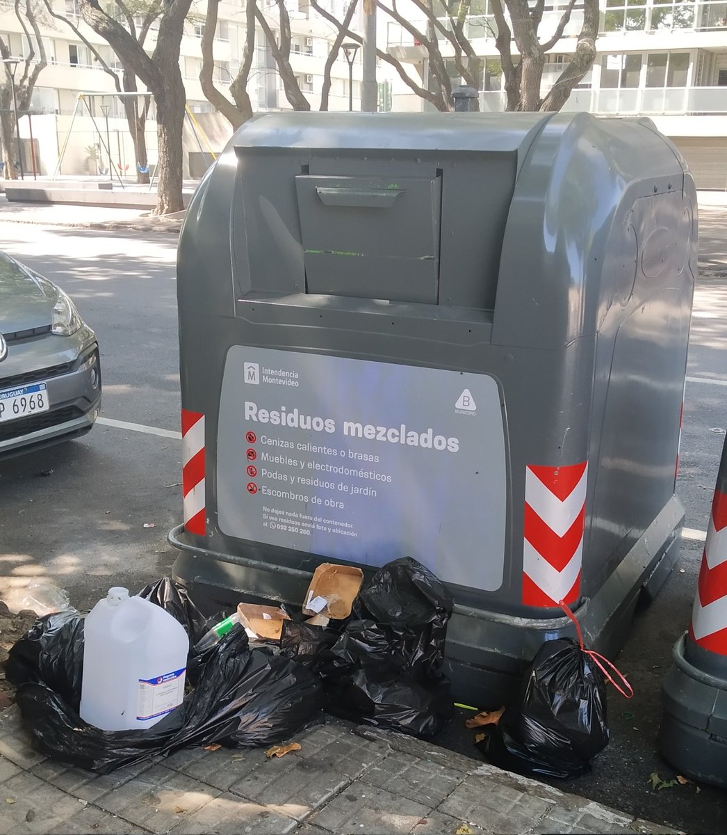 @Carlotta🐾💕 tweet media