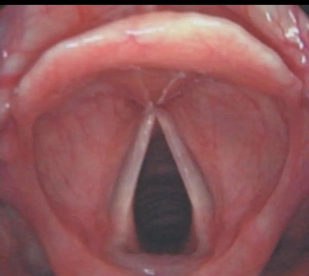 Modern Health tweet media