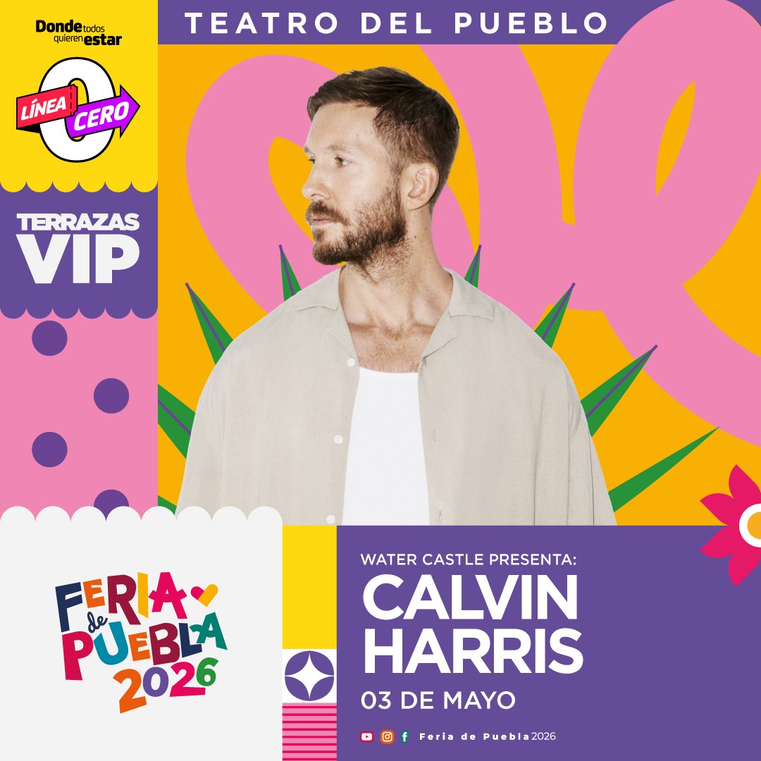 BOLETILAND tweet media