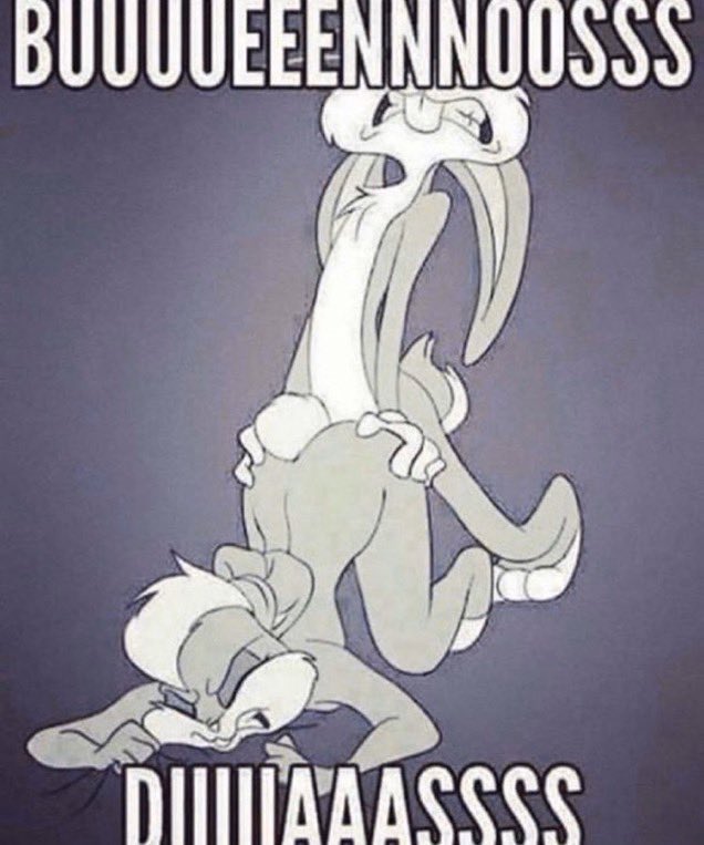 HowlingJROD tweet media