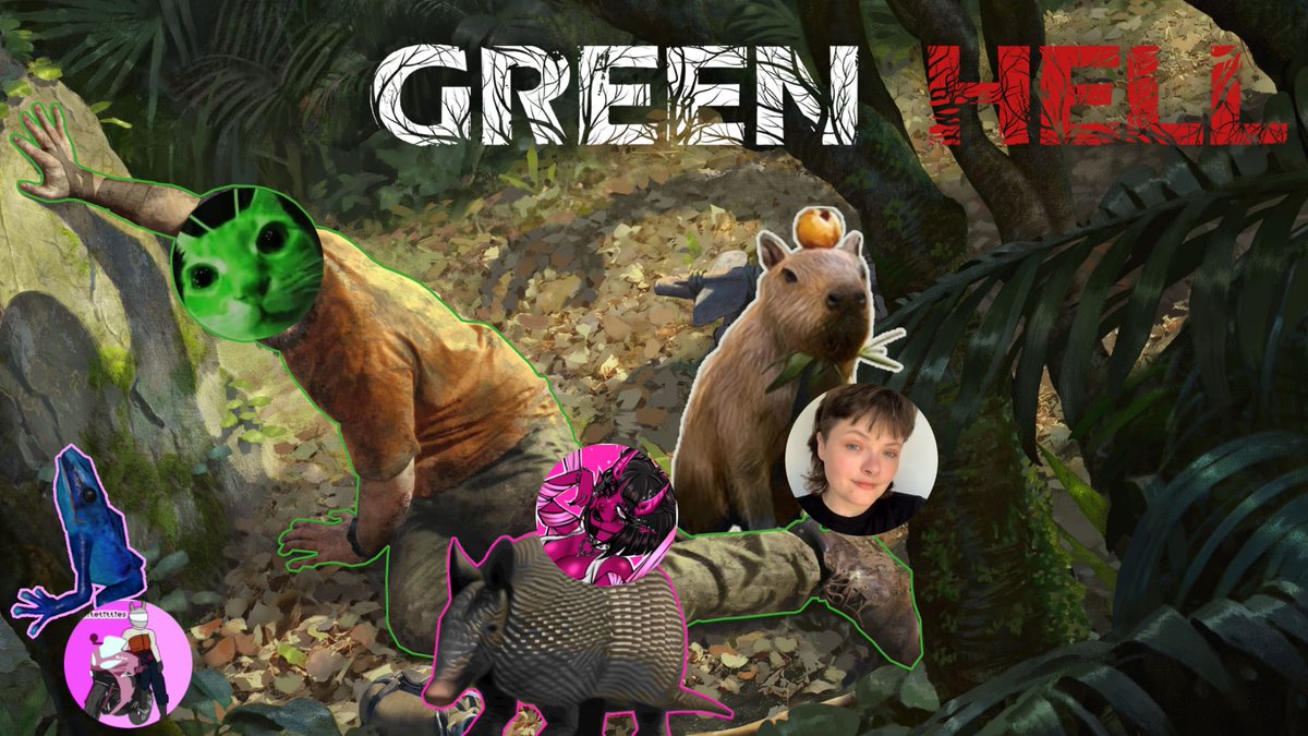 OptimalTrog 🦇 tweet media