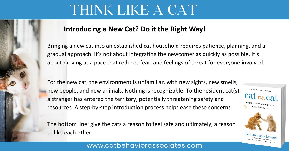 Pam Johnson-Bennett tweet media