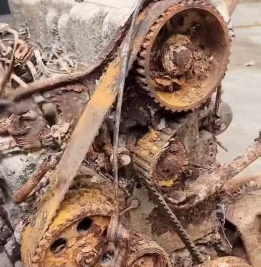 Connie 🇺🇸 tweet media