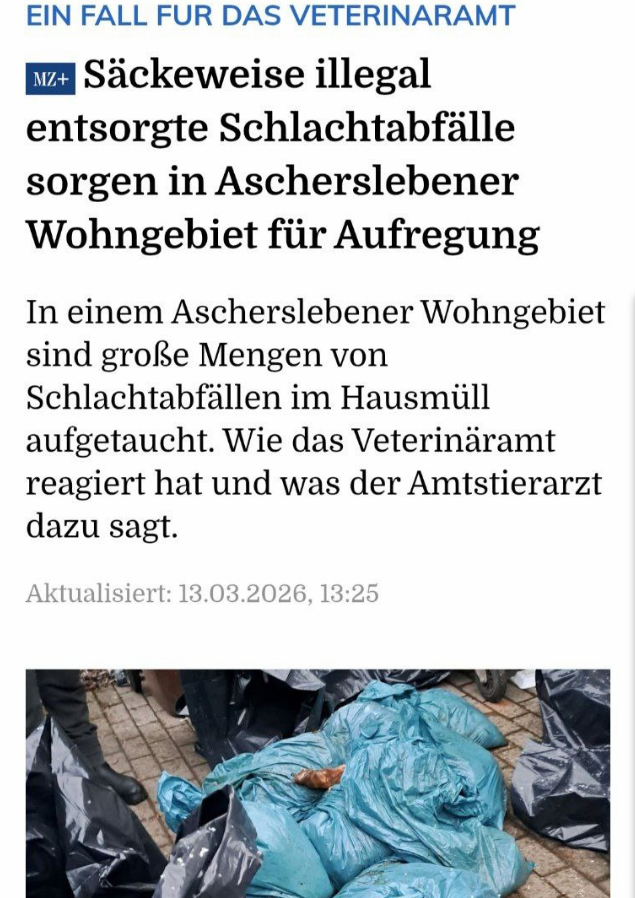 MarlaSvenjaL's tweet photo. Vor #Ramadan werden regelmäßig Schafdiebstähle vermeldet und während Ramadan gibt es diese illegal entsorgten Schlachtabfälle. Muss aber nichts mit irgendetwas zu tun haben. Vielleicht starben die Tiere auch an Altersschwäche und haben sich zum Sterben in diese blauen Säcke verkrochen.