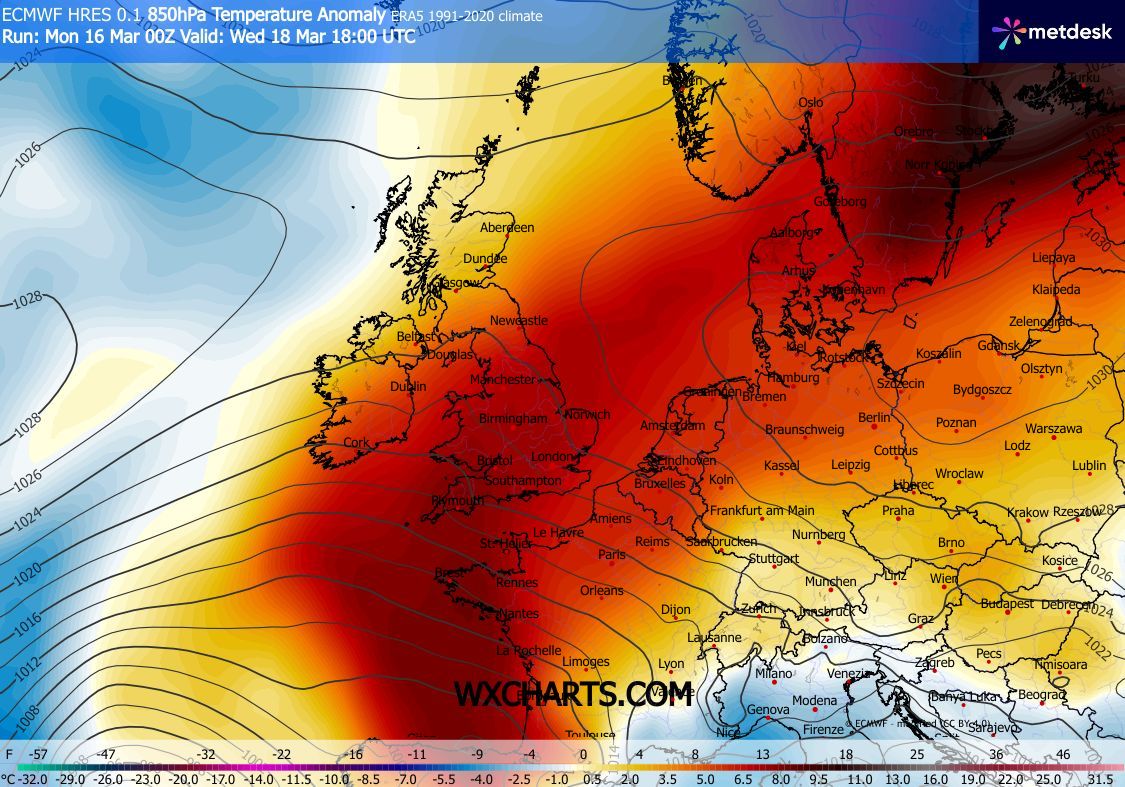 Marco Petagna tweet media