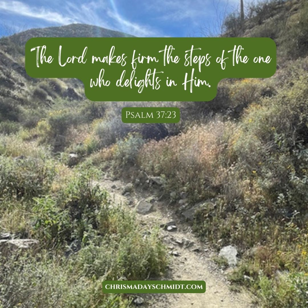 Chris Maday Schmidt Author tweet media