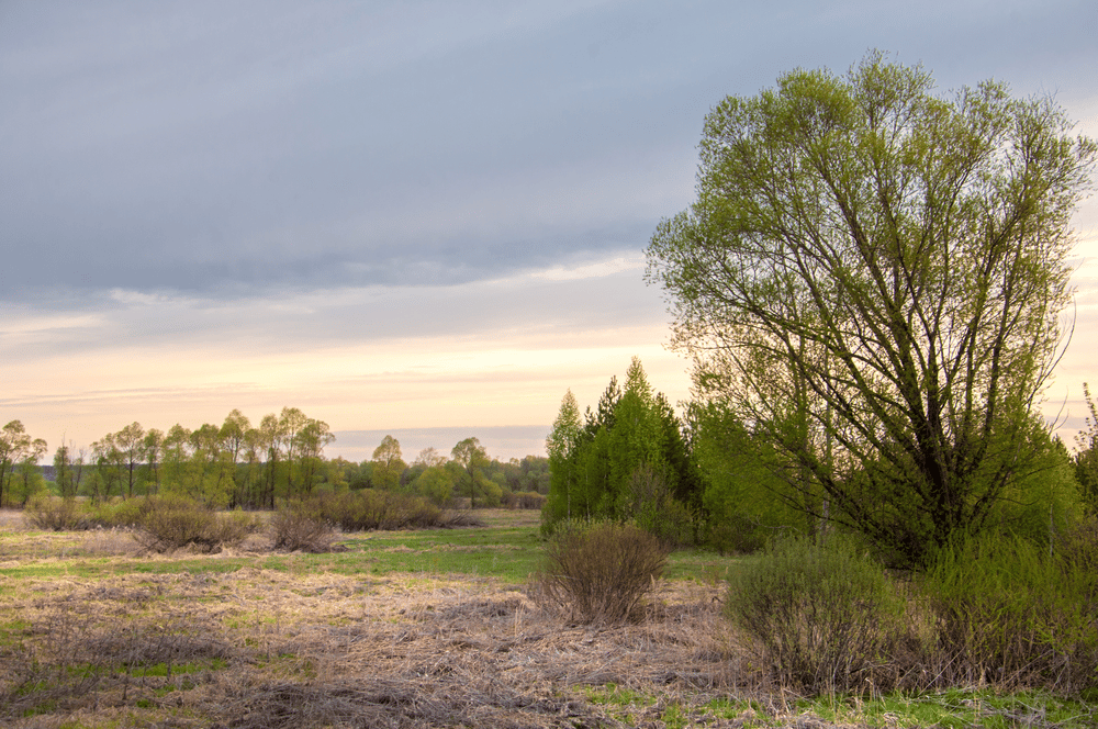 #VacantlandInsurance #VacantLand When you own a piece of land, you’re responsible for everything that happens on it. Even if there are no buildings, nobody lives there, and you haven’t permitted others to be ...
isu-armac.com/does-an-umbrel…