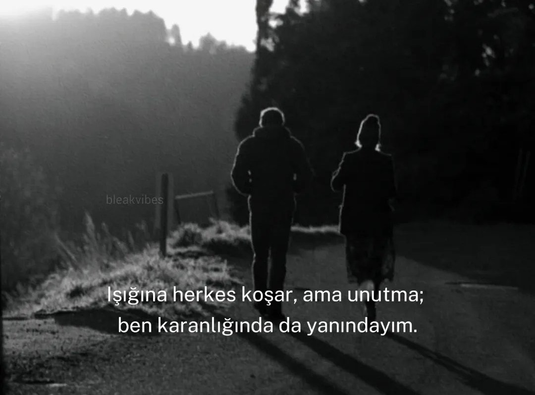 meursault tweet media