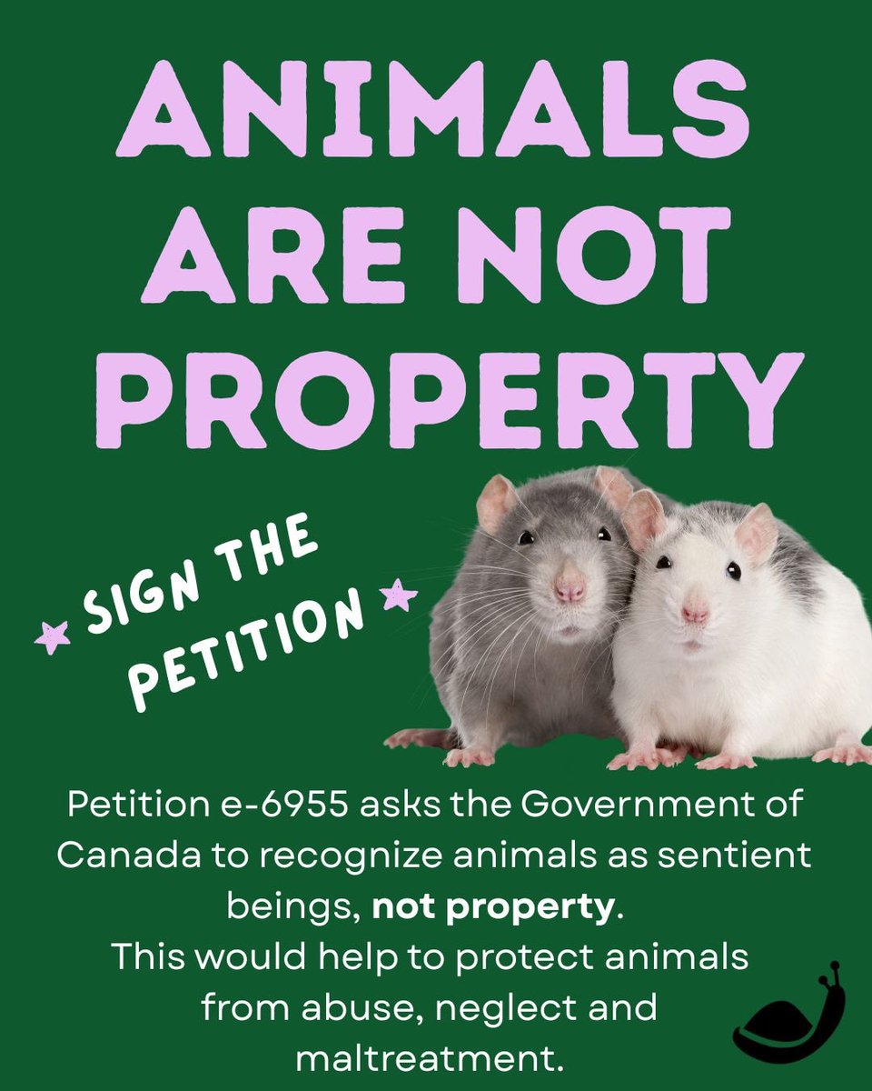 All Creatures Rescue tweet media