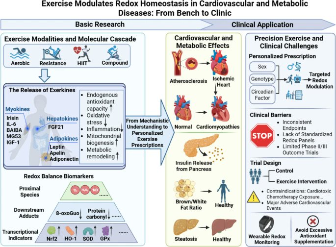 Antonio García-Hermoso tweet media