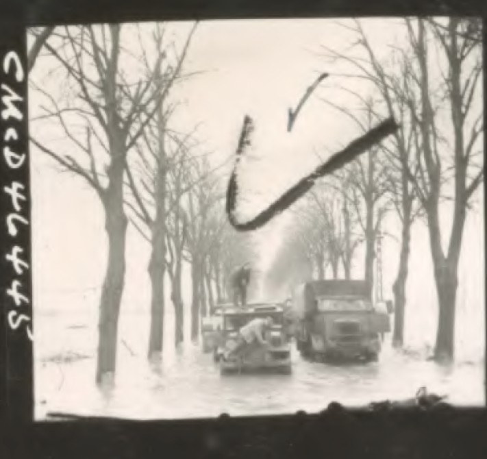 Project '44 tweet media