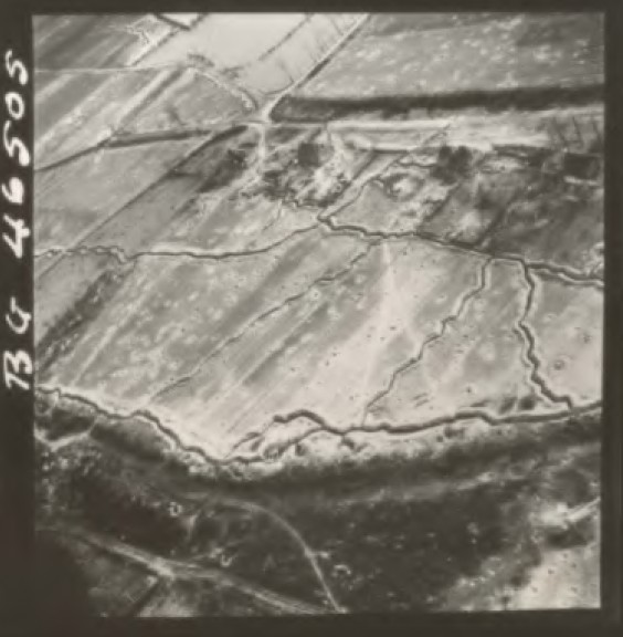 Project '44 tweet media