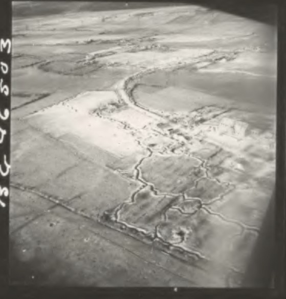 Project '44 tweet media