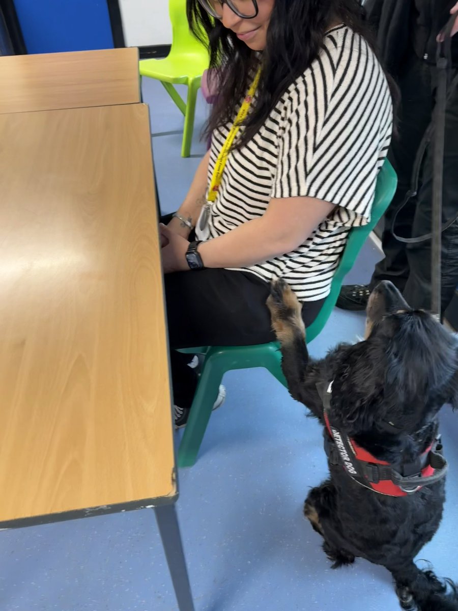 SAFE (Safeguarding Adolescents from Exploitation) tweet media