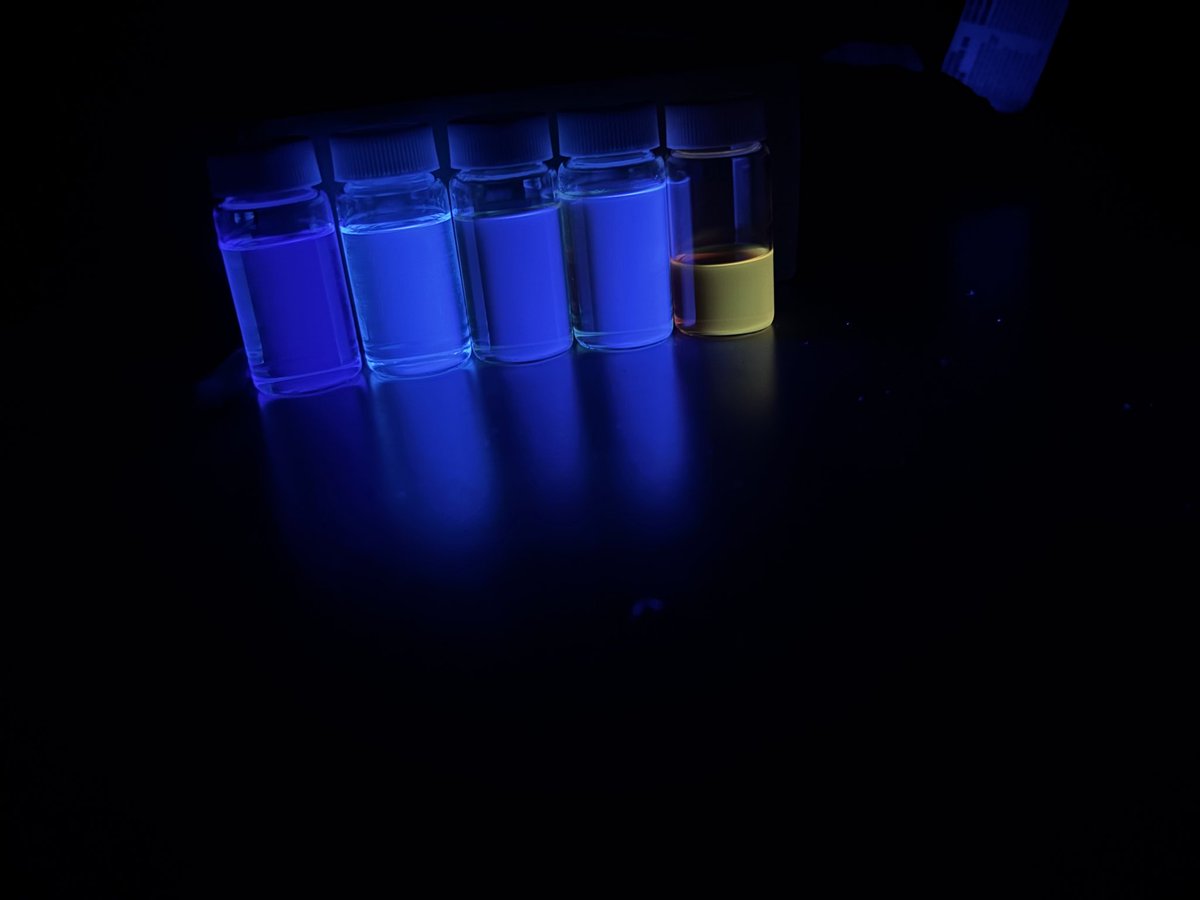 HansonFSU tweet media