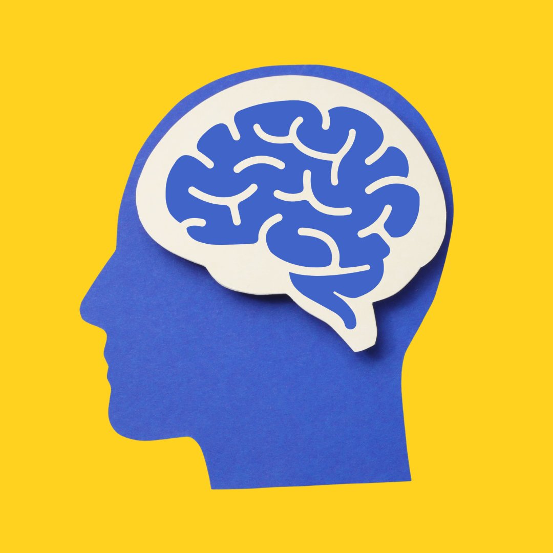 How To Academy tweet media