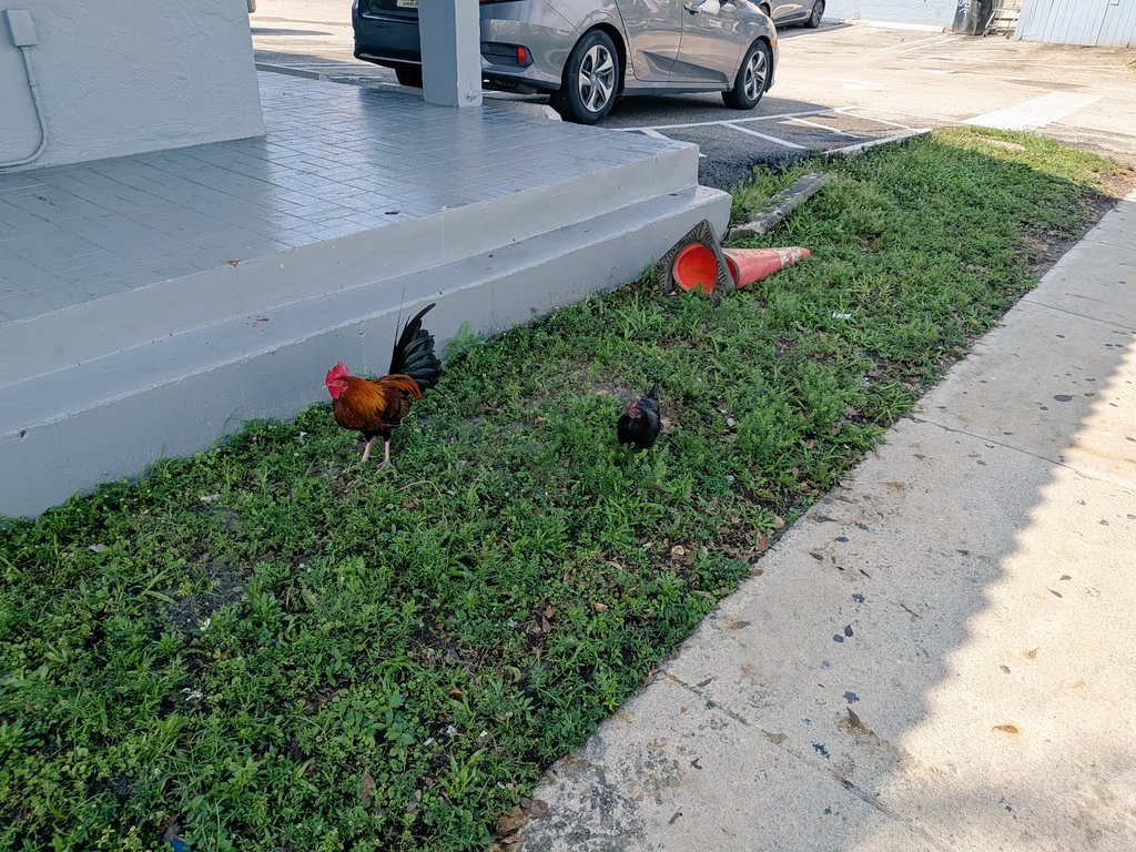 くりた tweet media