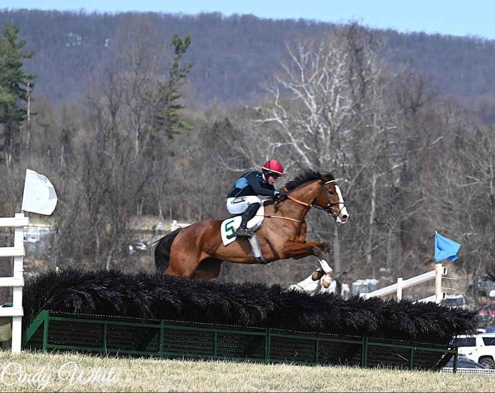 Zenyatta John tweet media