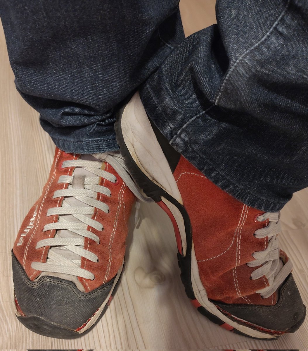 Nerderlei 🏳️‍🌈 - Nerdigel 🦔 on a Mission tweet media