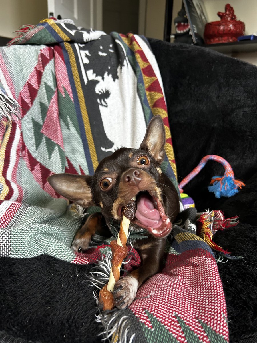 Junk 🌴 tweet media