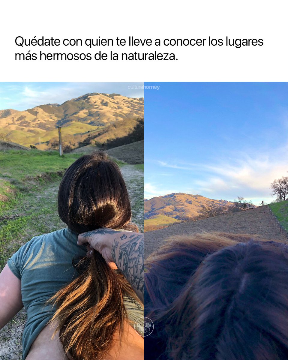 Cultura Horney tweet media