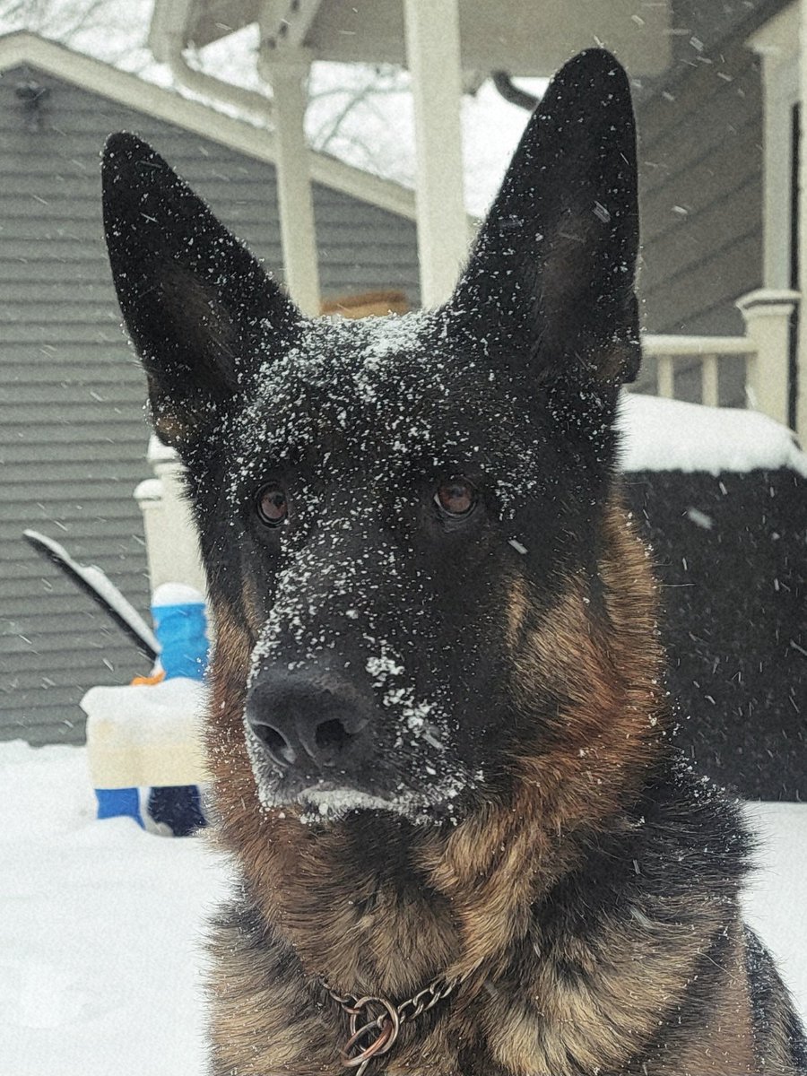 Adrian Fenton tweet media