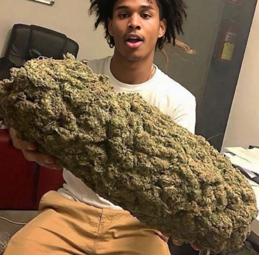 AU_Barner2010 tweet media