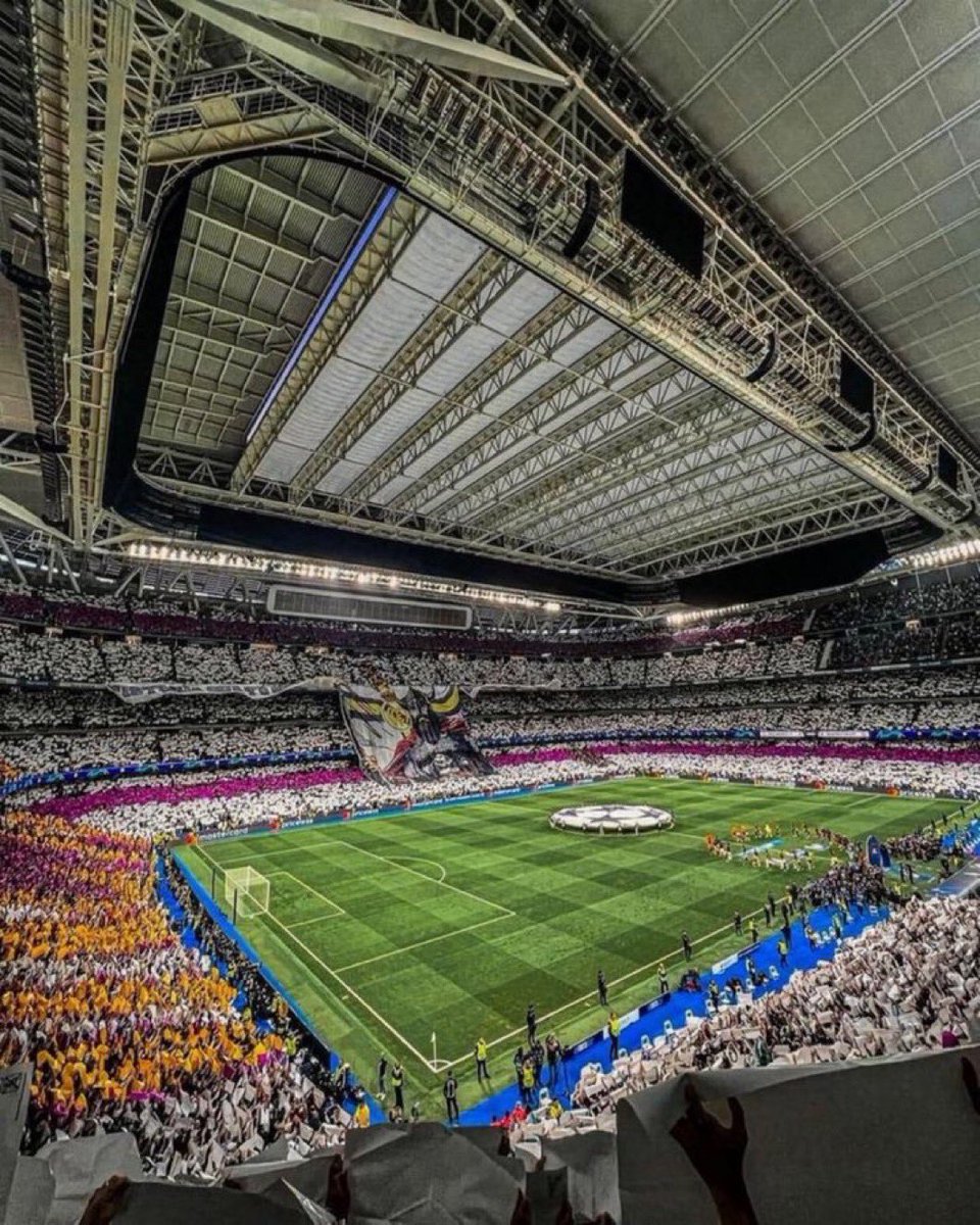 محمود مجيد tweet media