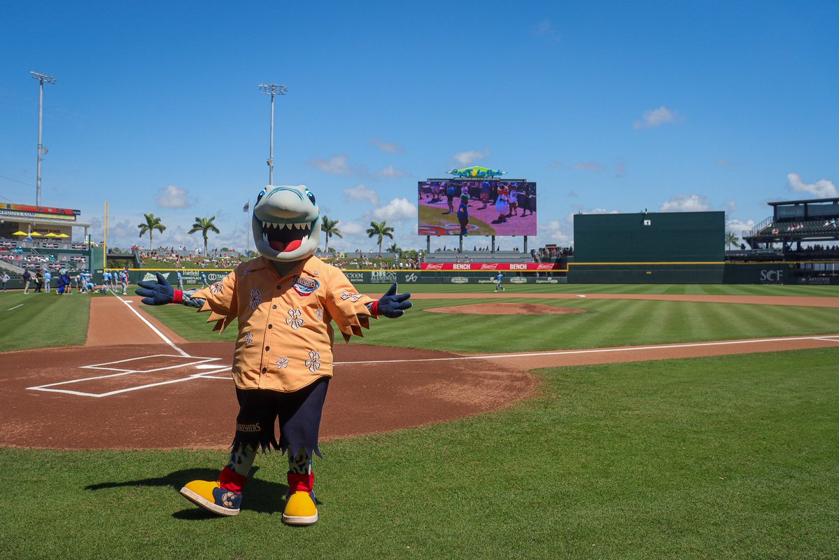 Clearwater Threshers tweet media